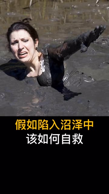包含奥格斯堡遭遇失利，陷入保级泥潭的词条